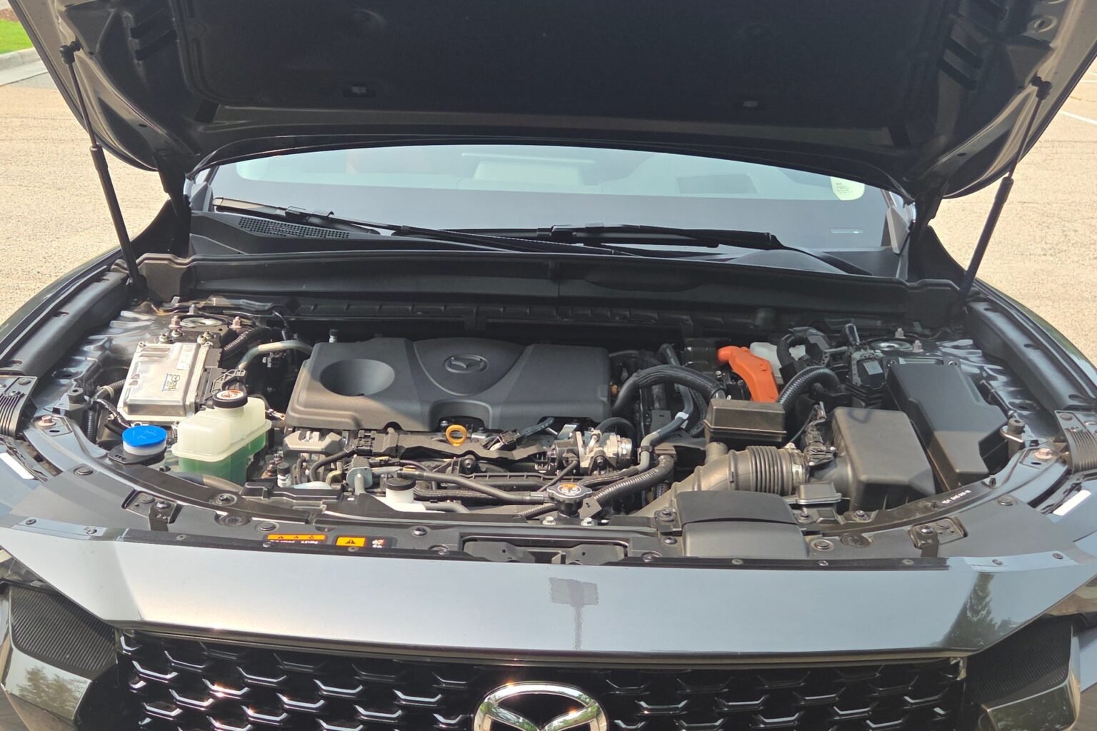 Here’s How to Spot Your Car’s Fluid Leaks and What Each Color Means Here’s How to Spot Your Car’s Fluid Leaks and What Each Color Means