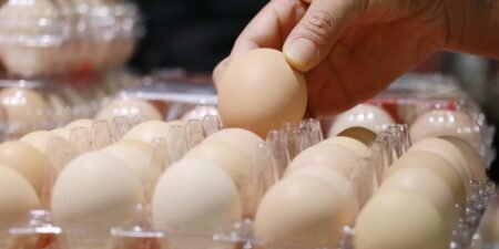 We were gaslit by Big Egg about egg prices (allegedly)