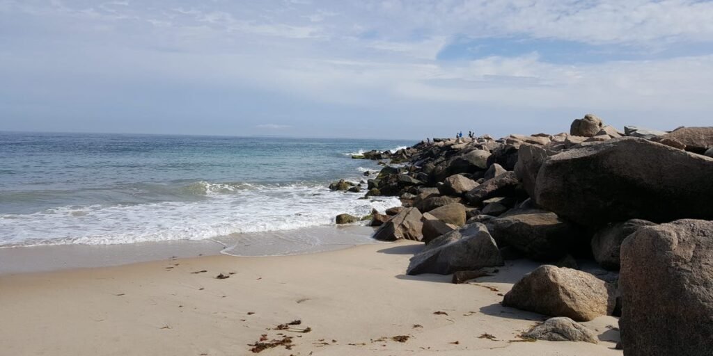 I live in Rhode Island. My favorite town to visit in the summer has great seafood, quiet beaches, and a bamboo forest.