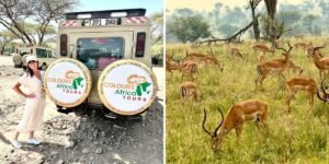 We went on our first African safari. Our trip would’ve been better if we’d known these 5 things before we left. We went on our first African safari. Our trip would’ve been better if we’d known these 5 things before we left.