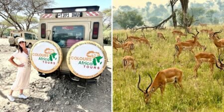 We went on our first African safari. Our trip would’ve been better if we’d known these 5 things before we left. We went on our first African safari. Our trip would’ve been better if we’d known these 5 things before we left.