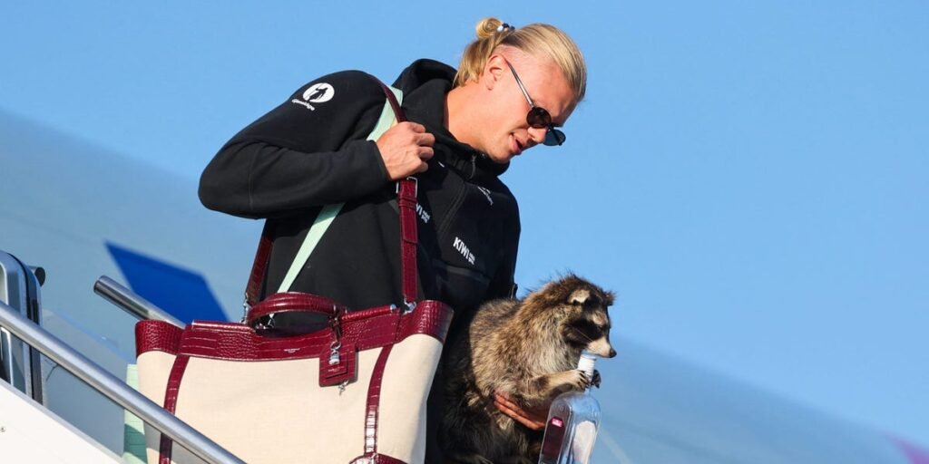 Norway’s Erling Haaland brought a 0 taxidermy raccoon home from the World Cup