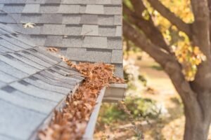 Roofers Warn About the Gutter Guard Myth That Rots Your Fascia