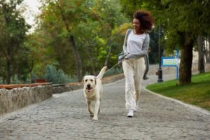 5 Legit Side Hustles for Introverts (No Uber Driving Required)