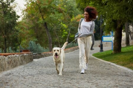 5 Legit Side Hustles for Introverts (No Uber Driving Required)