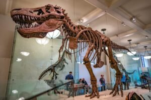 12 Great American Museums With Senior Discounts 12 Great American Museums With Senior Discounts
