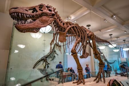 12 Great American Museums With Senior Discounts