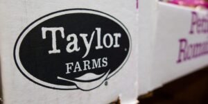 Taylor Farms issued a recall for over a dozen items, including salsa and guacamole, over Salmonella risks Taylor Farms issued a recall for over a dozen items, including salsa and guacamole, over Salmonella risks