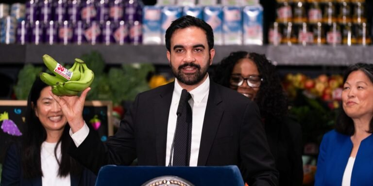 New York City is on track to launch 5 city-run grocery stores. Here’s what happened when other cities tried them. New York City is on track to launch 5 city-run grocery stores. Here’s what happened when other cities tried them.