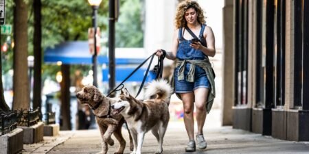 The side-hustle economy is getting more middle-class