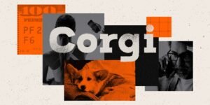 Corgi girls, ugly lawsuits, and cute dogs: Inside a wild billion startup Corgi girls, ugly lawsuits, and cute dogs: Inside a wild billion startup