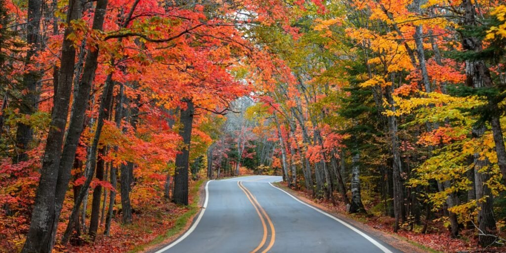 I’ve visited all 50 states solo, but there’s one region I keep coming back to in the fall I’ve visited all 50 states solo, but there’s one region I keep coming back to in the fall