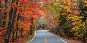 I’ve visited all 50 states solo, but there’s one region I keep coming back to in the fall I’ve visited all 50 states solo, but there’s one region I keep coming back to in the fall