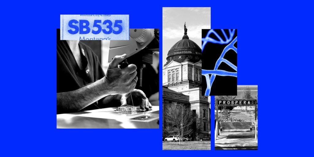 Montana’s experimental treatment law hands a VC the keys