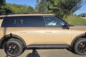 I Drove Two Versions of the Kia Telluride. Is the Gas or Hybrid Better? I Drove Two Versions of the Kia Telluride. Is the Gas or Hybrid Better?